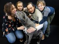 Jean-Marc PENRATH - STUDIO DES VIGNES D'AVARICUM